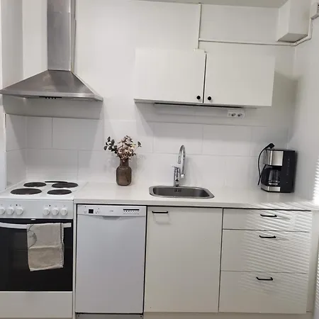 Tyylikaes Kaupunkiasunto Lahdessa Apartment